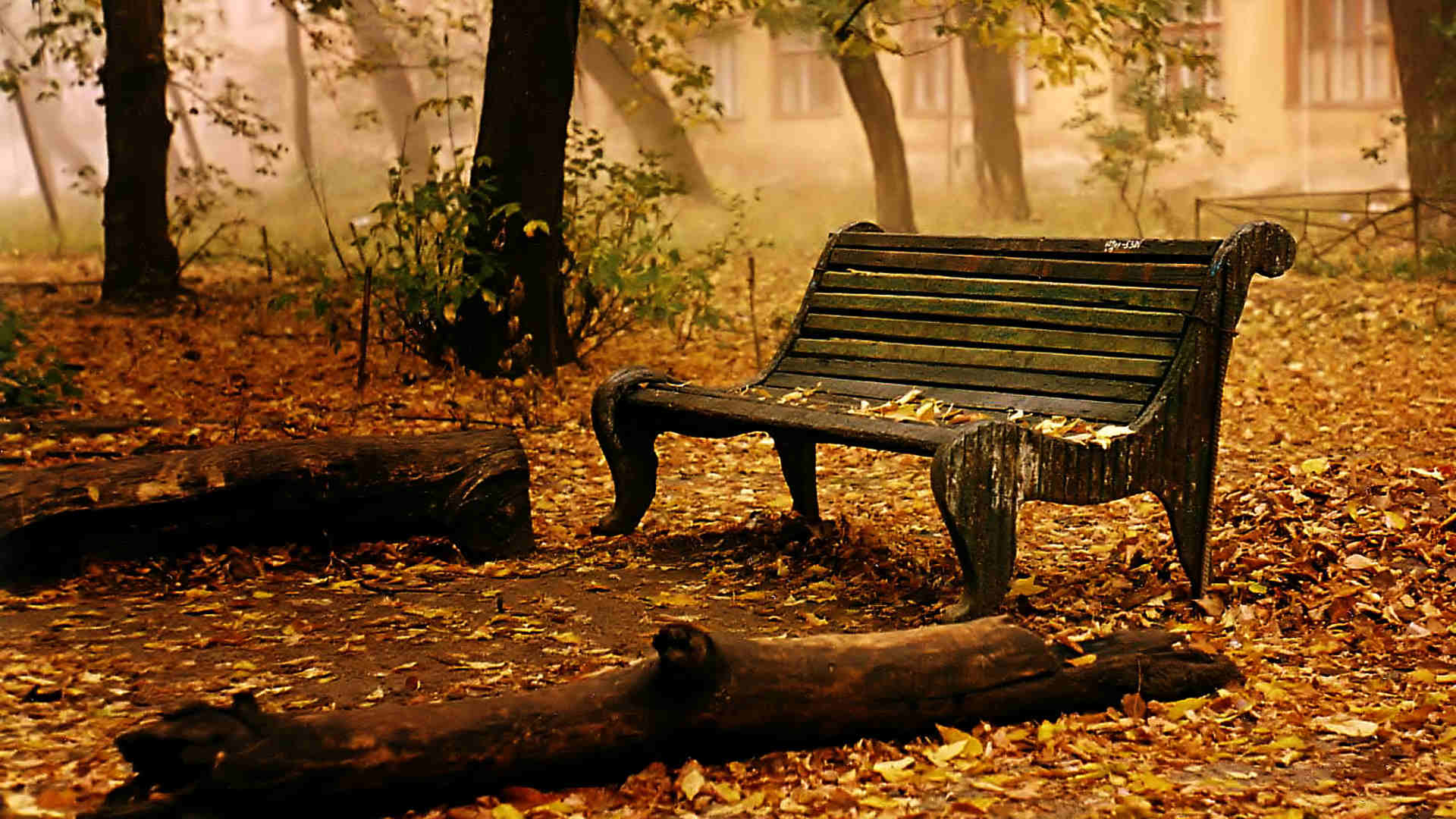 Empty Bench